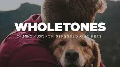 Wholetones for Pets album cover